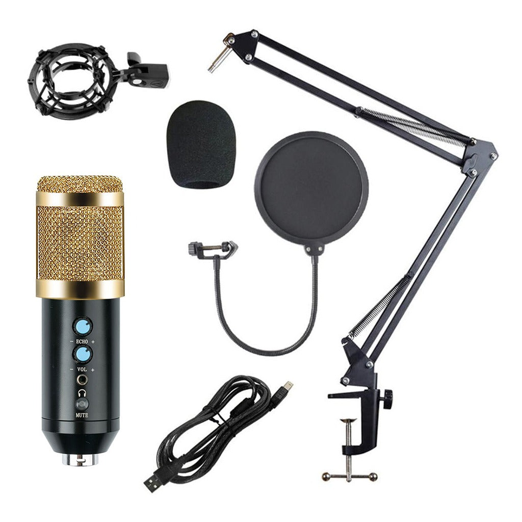 Micrófono Condensador Profesional BM858TZ USB Estudio de Grabación PC Dorado S0840-1