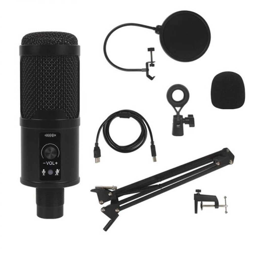 kit Microfono Condensador profesional BM65 USB estudio de grabación PC S0817
