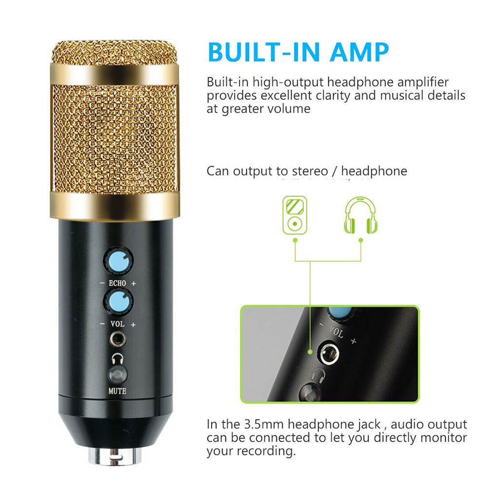 Micrófono Condensador Profesional BM858TZ USB Estudio de Grabación PC Dorado S0840-1