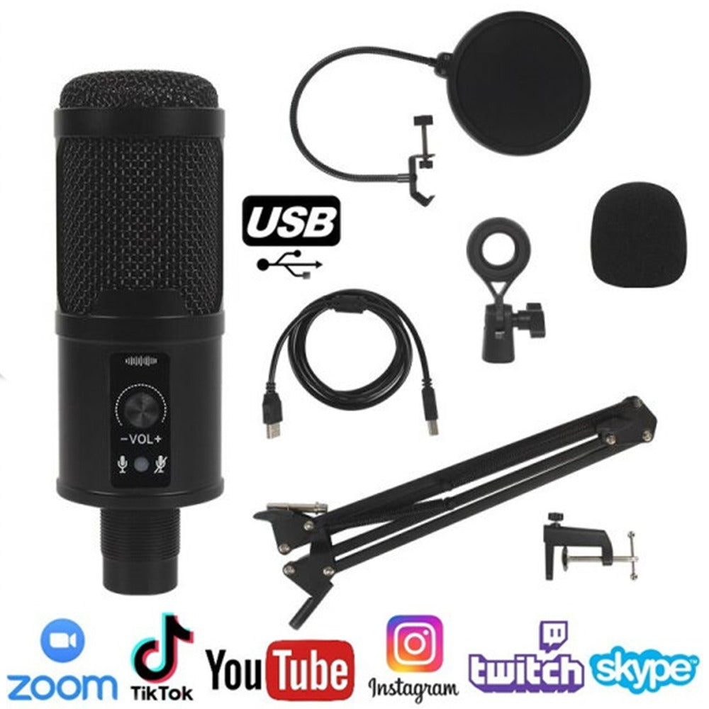 kit Microfono Condensador profesional BM65 USB estudio de grabación PC S0817