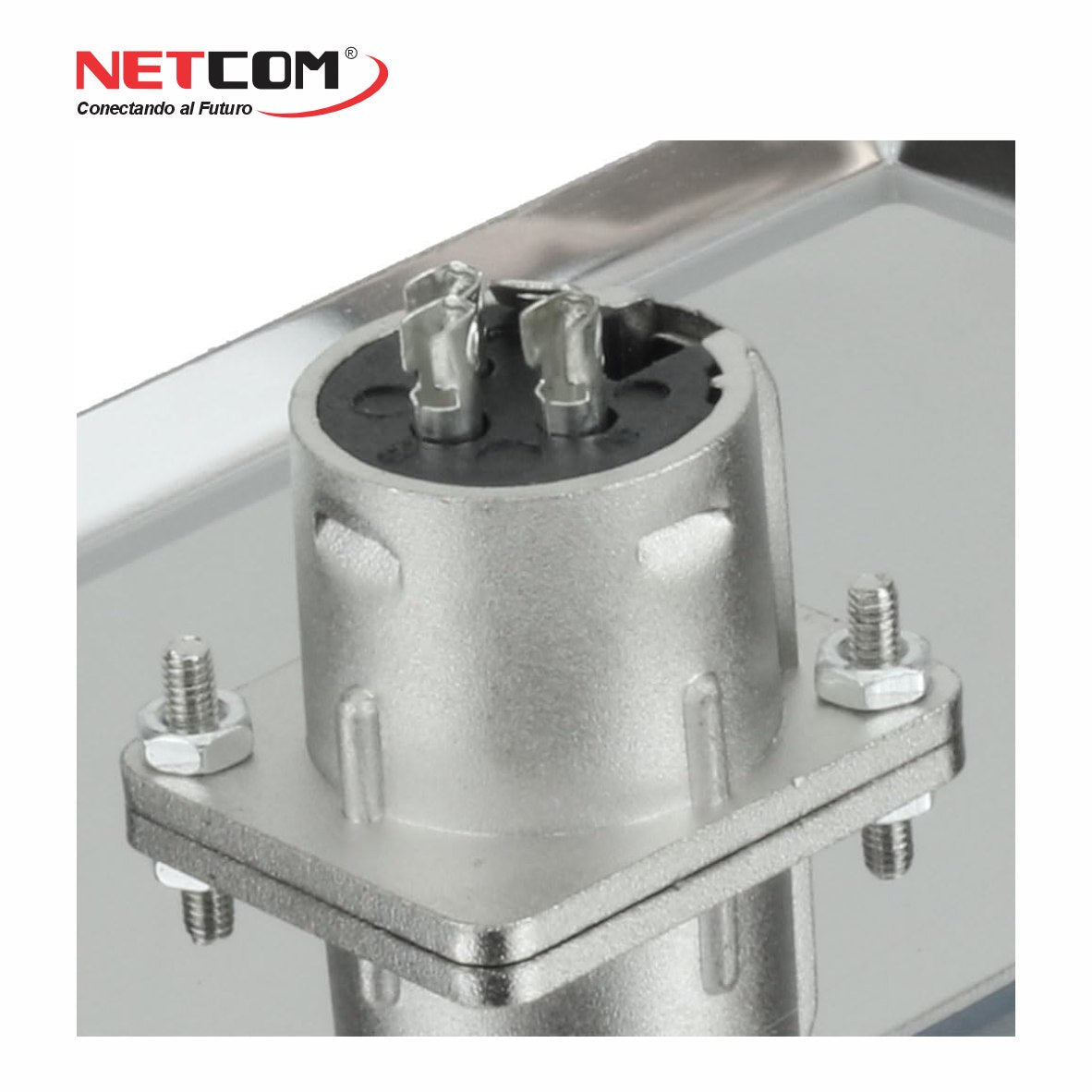 Placa de Pared Doble con 2 Conectores XLR Hembra de 3 Pines NETCOM Faceplate para Audio Profesional s2062