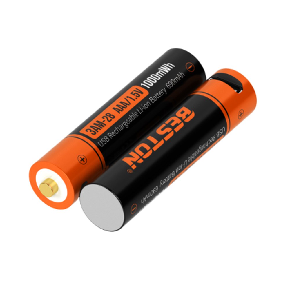 2 Baterias de Litio Recargable AAA Pilas 1.5V 1000nWh BESTON Micro USB S1823