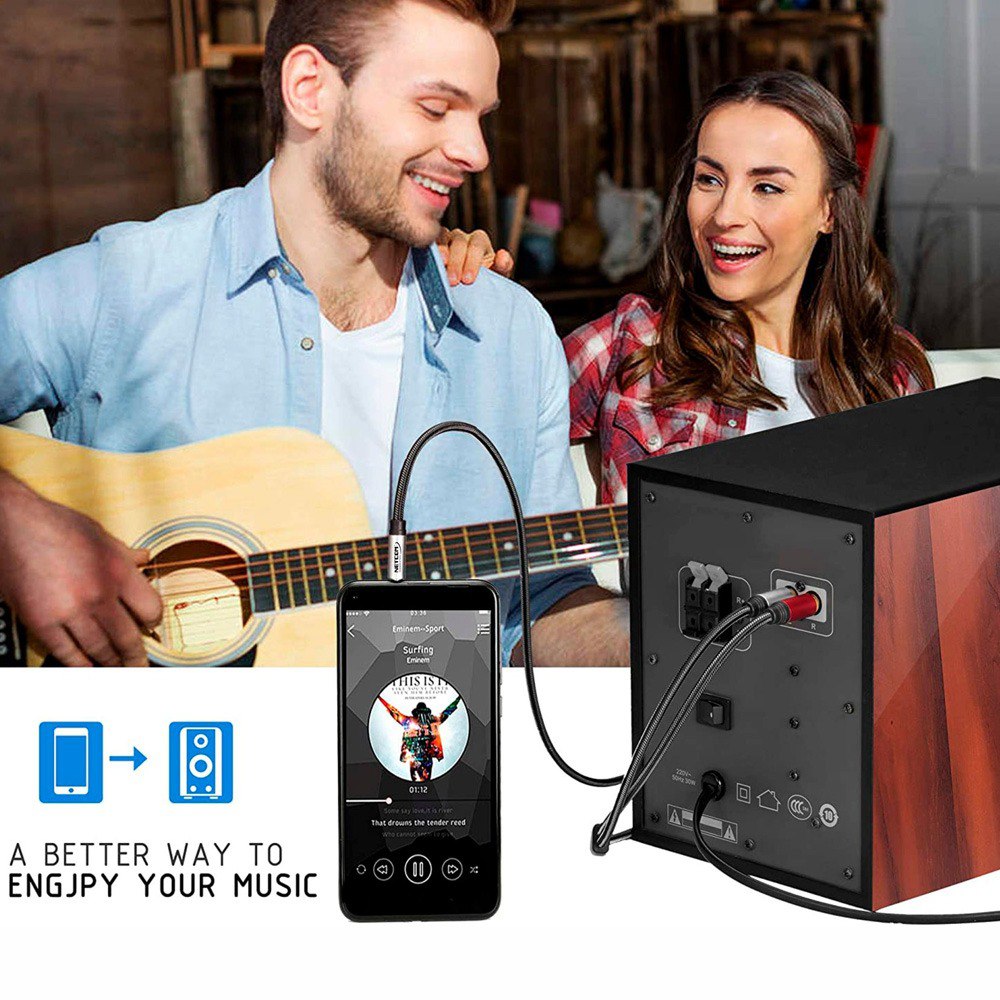 Cable de audio Plug 3.5mm a 2 RCA Macho 3 Metros NETCOM S1968